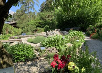 Hildegard von Bingen